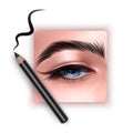 Realistic illustration of eye applying eyeliner close up, woman applies eyeliner, Vector EPS 10 illustration