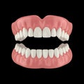 Realistic illustration of a full set of human upper and lower dentures isolated on white background Royalty Free Stock Photo