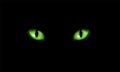 Realistic illustration of green feline eyes or cat eye, isolated on black background, vector Royalty Free Stock Photo