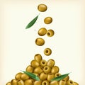 Realistic illustration of green olives, pitted with leaves. Vector illustration