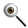 Realistic illustration of human eye with brown iris and magnifying glass. Isolated on white background, vector