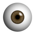 Realistic illustration of human eye with brown iris, pupil and reflection. Isolated on white background, vector Royalty Free Stock Photo