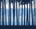 Realistic illustration of landscape with coniferous forest with pine trees under blue sky, vector Royalty Free Stock Photo