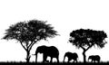 Realistic illustration of landscape with trees in african safari. A family of three elephants with a baby go in the grass, vector