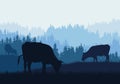 Realistic illustration of mountain farm landscape with forest, pasture and grazing cows under blue sky, vector