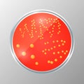 Realistic illustration of petri dish with bacteria isolated. Staphylococcus colony on the agar plate. Royalty Free Stock Photo