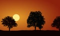 Realistic illustration with silhouettes of deciduous trees, rising or setting sun on morning or evening orange sky Royalty Free Stock Photo