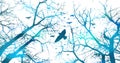 Realistic blue illustration with silhouettes of three birds - crows or ravens sitting on tree branch without leaves and Royalty Free Stock Photo