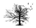 Realistic illustration with silhouettes of three birds - crows or ravens sitting on tree branch without leaves and Royalty Free Stock Photo