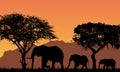 Realistic illustration with silhouettes of three elephants - family in african safari landscape with trees, mountains under orange Royalty Free Stock Photo