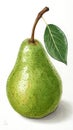 Green pear with leaf fruit stem Royalty Free Stock Photo