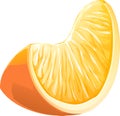 Realistic illustration slice of orange fruit.