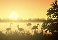 Realistic illustration of wetland landscape with river or lake, water surface and birds. Flamingo and stork flying under orange