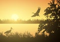 Realistic illustration of wetland landscape with river or lake, water surface and birds. Stork flying under orange morning sky