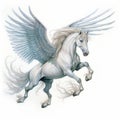 Realistic Illustration Of A Winged White Horse