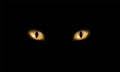 Realistic Illustration Of Yellow Or Orange Feline Eyes Or Cat Eye, Isolated On Black Background, Vector