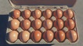 Realistic image of a dozen brown eggs in a carton for culinary and grocery concepts Royalty Free Stock Photo