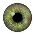 Realistic image of an eye. Iris, cornea, retina with luminous flash. Brown eye. 3d illustration