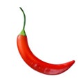 Realistic image of red hot chilli pepper.