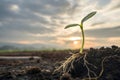 A realistic image of a seed sprouting from the ground, pushing through the soil and representing the growth Royalty Free Stock Photo