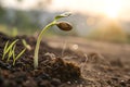 A realistic image of a seed sprouting from the ground, pushing through the soil and representing the growth Royalty Free Stock Photo