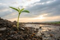 A realistic image of a seed sprouting from the ground, pushing through the soil and representing the growth Royalty Free Stock Photo