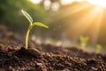 A realistic image of a seed sprouting from the ground, pushing through the soil and representing the growth Royalty Free Stock Photo