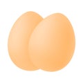 Realistic image of two eggs. Isolated vector illustration on white background. Royalty Free Stock Photo