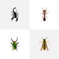 Realistic Insect, Bee, Poisonous And Other Vector Elements. Set Of Insect Realistic Symbols Also Includes Emmet, Beetle