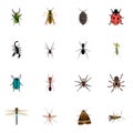 Realistic Insect, Locust, Butterfly And Other Vector Elements. Set Of Insect Realistic Symbols Also Includes Pismire