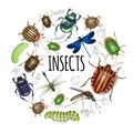 Realistic Insects Round Concept