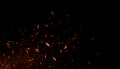 Realistic isolated fire effect for decoration and covering on black background. Concept of particles , sparkles, flame and light