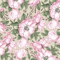 Realistic isolated flowers pattern. Vintage baroque background. Rose dogrose, rosehip, brier. Wallpaper. Drawing engraving.