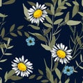 Realistic isolated seamless flower pattern. Vintage set. Wallpaper. Hand drawn. Vector illustration. Abstract flower drawing. Royalty Free Stock Photo