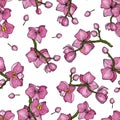 Realistic isolated seamless flower pattern. Vintage set. Wallpaper. Hand drawn. Vector illustration. Abstract orchid flower