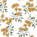 Realistic isolated seamless flowers pattern. Vintage set. Hand drawn vector illustration. Abstract floral drawing Royalty Free Stock Photo