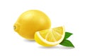 Realistic juicy lemon fruit with leaves vector isolated