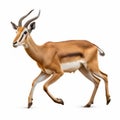 Realistic 8k Uhd Photo Of Antelope In Full Body Movement