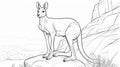 Realistic Kangaroo Coloring Pages: Exotic And Stylish Illustrations For Kids