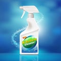 Realistic Kitchen cleaner pack