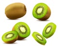 Realistic kiwi. Juicy exotic whole fruit, half and slice . Fresh organic food for healthy eating. Ripe tropical berry for sweet