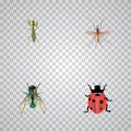 Realistic Ladybird, Gnat, Grasshopper And Other Vector Elements. Set Of Bug Realistic Symbols Also Includes Alive