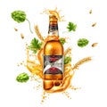 Vector realistic beer bottle package ad splash Royalty Free Stock Photo