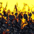 Realistic lava flame on black ash background. Texture of molten magma surface Royalty Free Stock Photo