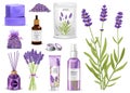 Realistic Lavender Set