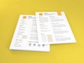 Realistic Letter Sized Curriculum Vitae Paper Mockup Template