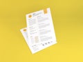 Realistic Letter Sized Curriculum Vitae Paper Mockup Template