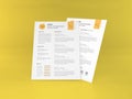 Realistic Letter Sized Curriculum Vitae Paper Mockup Template