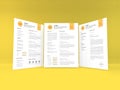 Realistic Letter Sized Curriculum Vitae Paper Mockup Template