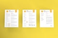 Realistic Letter Sized Curriculum Vitae Paper Mockup Template